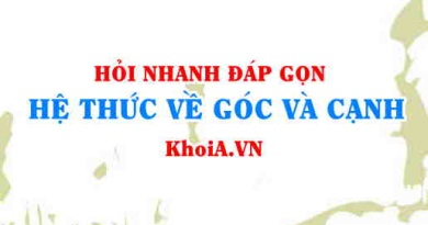 Hệ thức về góc và cạnh trong tam giác vuông Toán lớp 9 - Hỏi nhanh đáp gọn